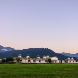 大草原s