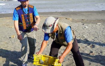 旭海社區追逐浪花蟹遊程演示