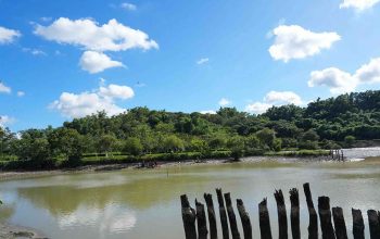 屏科大配合農業部農村發展及水土保持署臺南分署辦理「水土保持園區農塘改善工程」，進行校內靜思湖清淤與生態保育行動